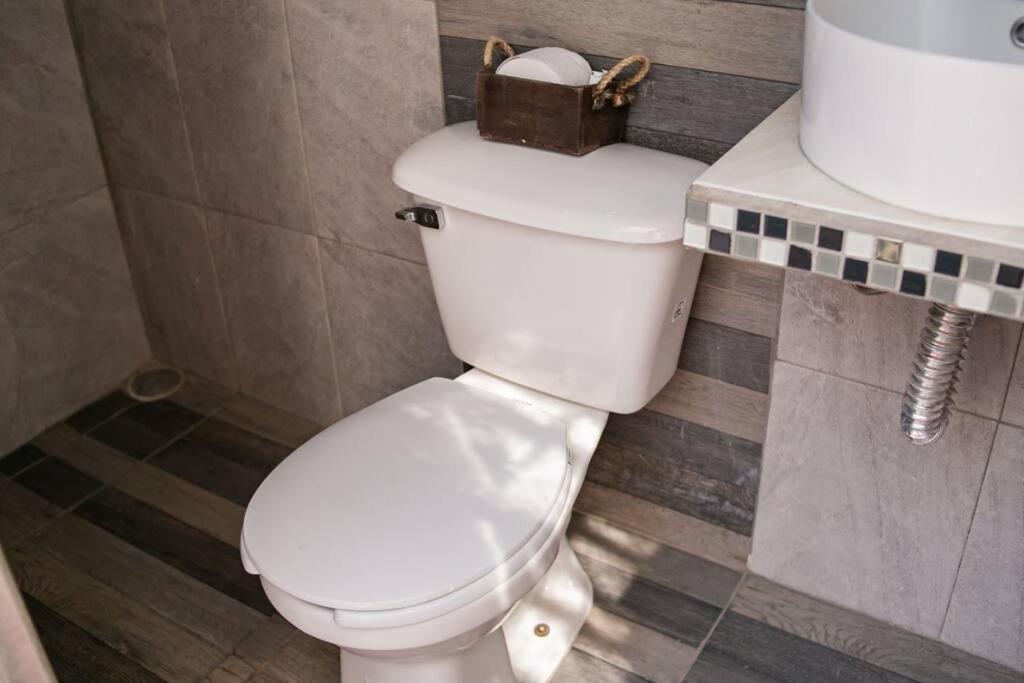 テキーラHermoso Departamento Centrico Con Serviciosアパートメント エクステリア 写真