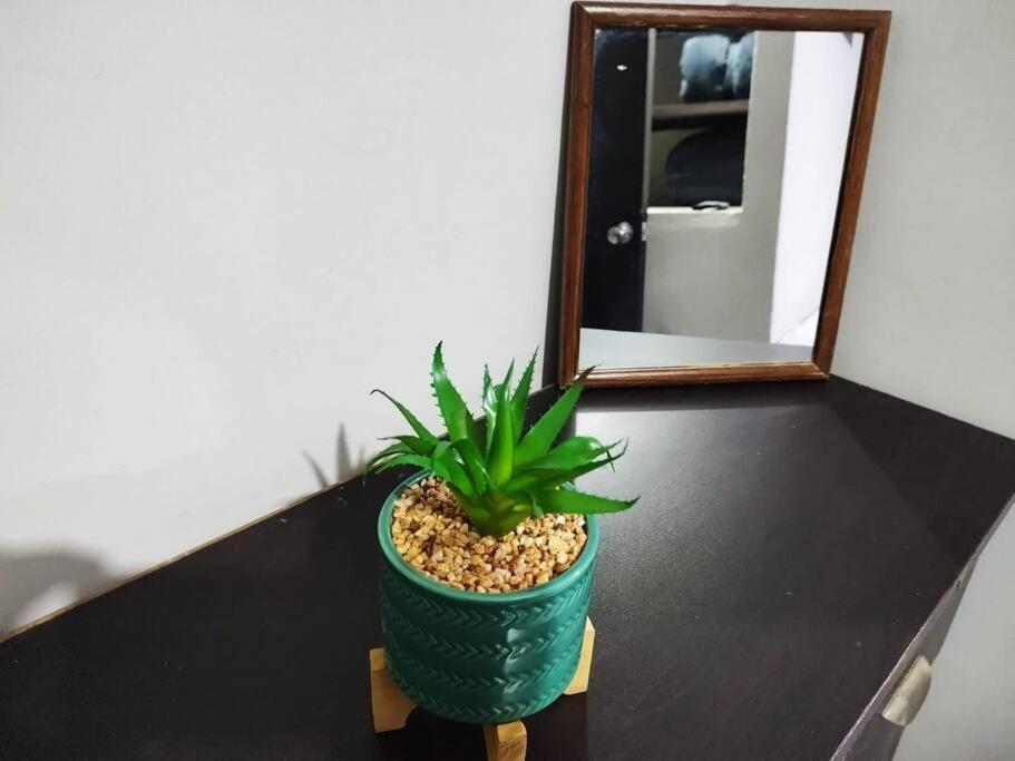 テキーラHermoso Departamento Centrico Con Serviciosアパートメント エクステリア 写真